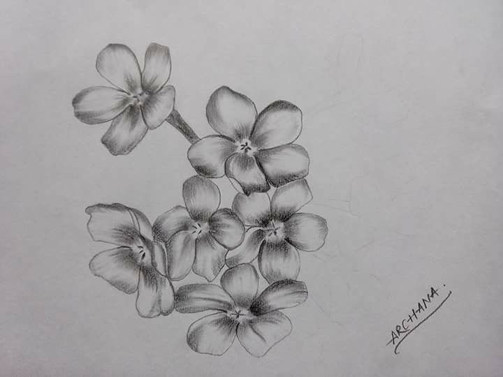 Little flowers Little flowers