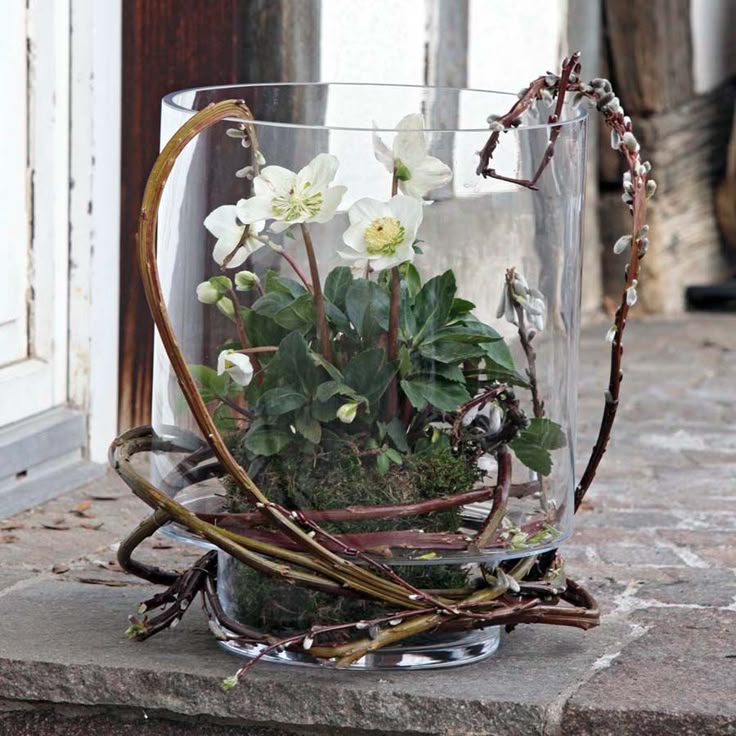 tischdeko weihnachten christrosen die besten 25 christrose ideen auf pinterest winter tischdeko weihnachten christrosen die besten 25 christrose ideen auf pinterest winter