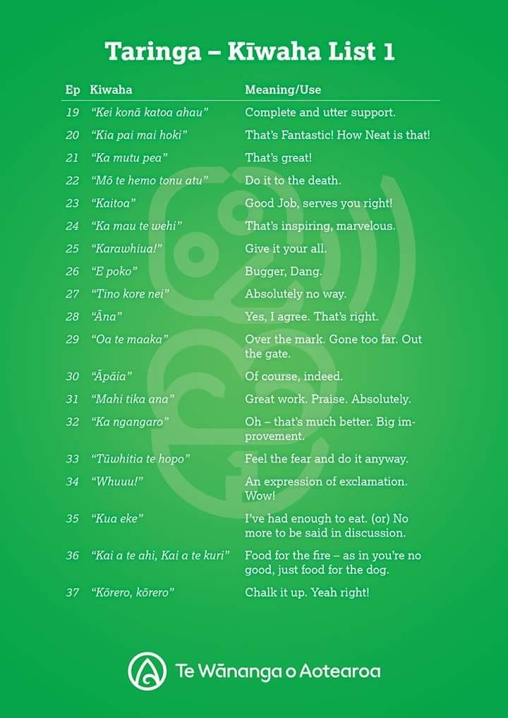 I don't know if it's possible to understand and speak te reo without I don't know if it's possible to understand and speak te reo without