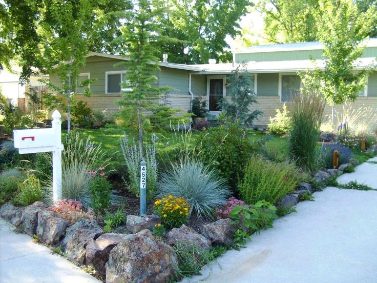 Garden Ideas Colorado best 25+ xeriscaping ideas on pinterest | desert landscaping Garden Ideas Colorado best 25+ xeriscaping ideas on pinterest | desert landscaping
