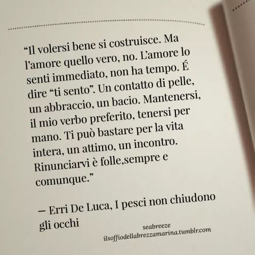 Erri De Luca I Pesci Non Chiudono Gli Occhi Frasi Frasi Belle Sulla Vita jpg (500x500)