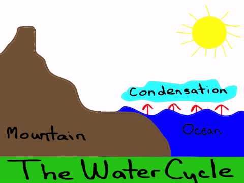 The Water Cycle #Animation created for Science class. Made with