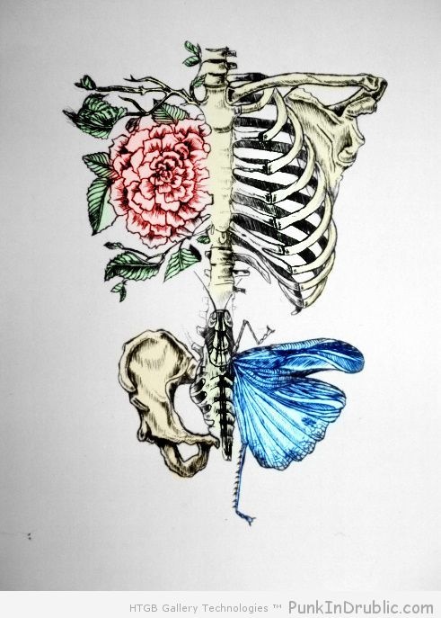 skeleton rose butterfly chiller pinterest skeleton rose butterfly chiller pinterest