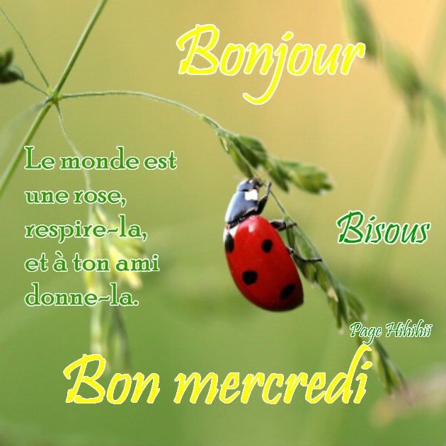 Bonjour...Bonsoir de Février - Page 7 A0a7bb21426fcd5b495c3fa60521788a