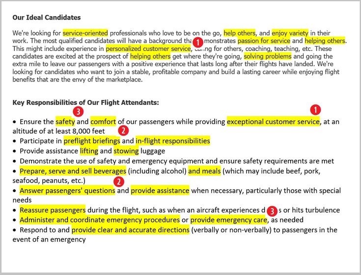 flight attendant job description