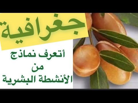 أتدرب على وصف مجال حضري أتعرف نماذج من الأنشطة البشرية Youtube