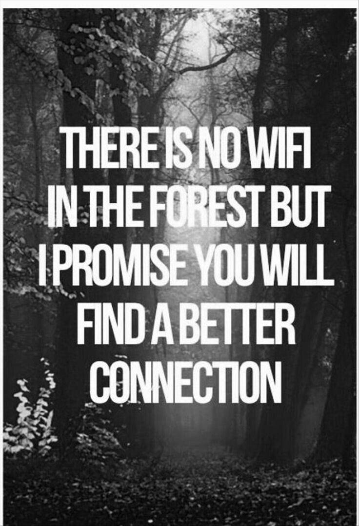 62 best quotes images on
