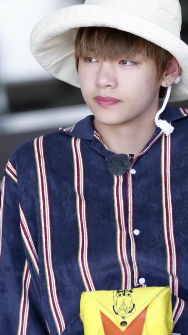 V 💋 || Hawaii BTS Bon Voyage Season 2