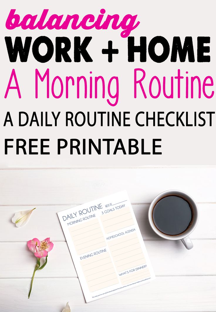 best daily schedule