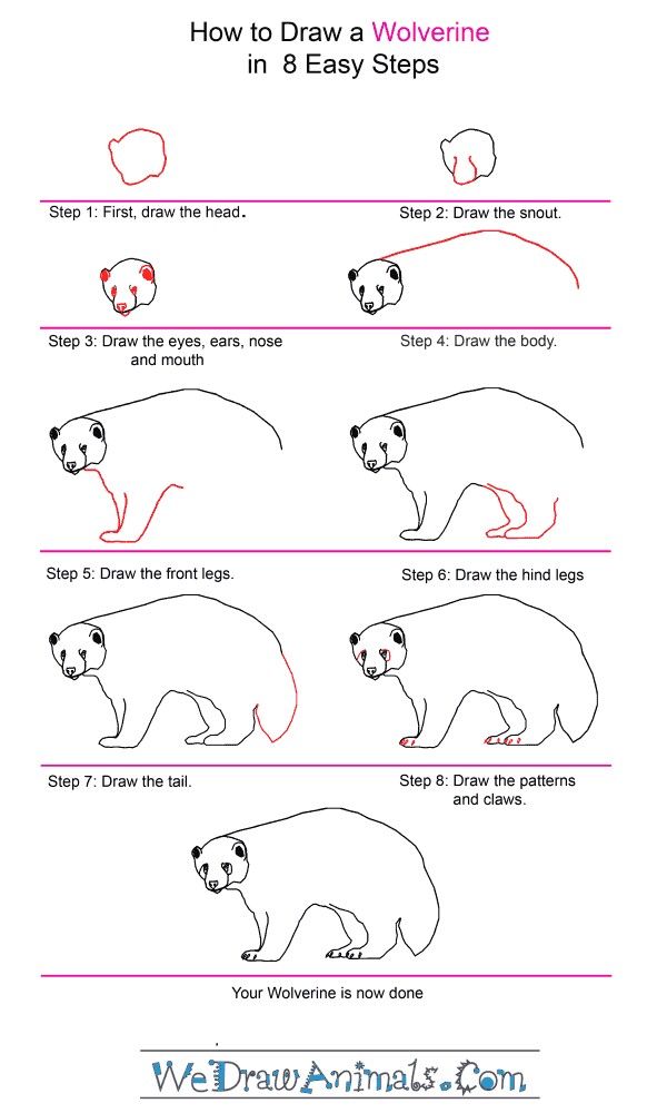 how to draw a wolverine step by step tutorial