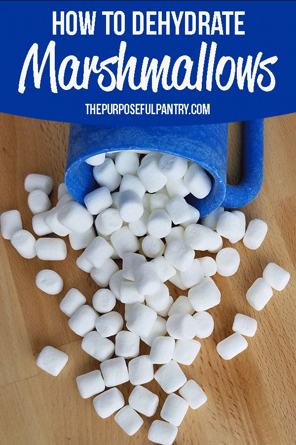 dehydrated chocolate marshmallow bits dehydrated chocolate marshmallow bits