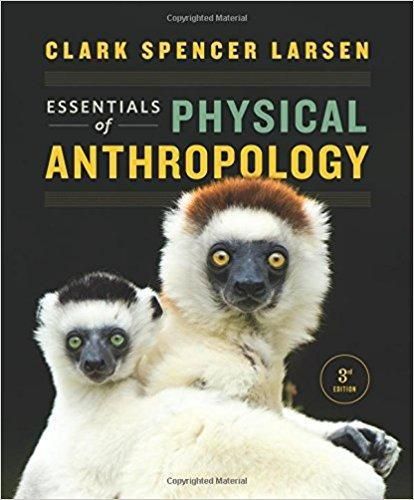 Anthropology Books Pdf