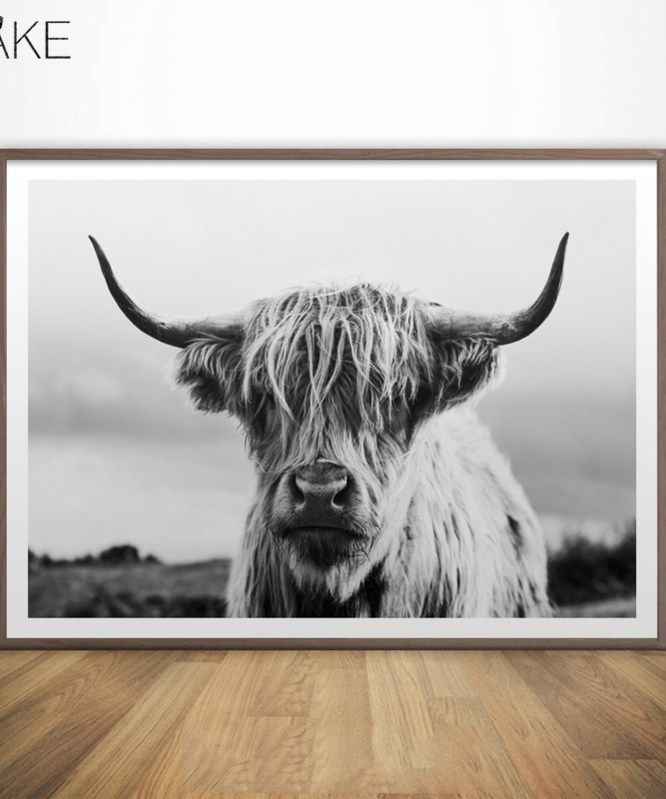 Wall Art Freedom Scotland Highland Cow Posters And Prints Cattle Canvas Paintings Wall Picture For Living Room Decor Yak Art Highland Cow Print Highland Cow Art Cow Art
