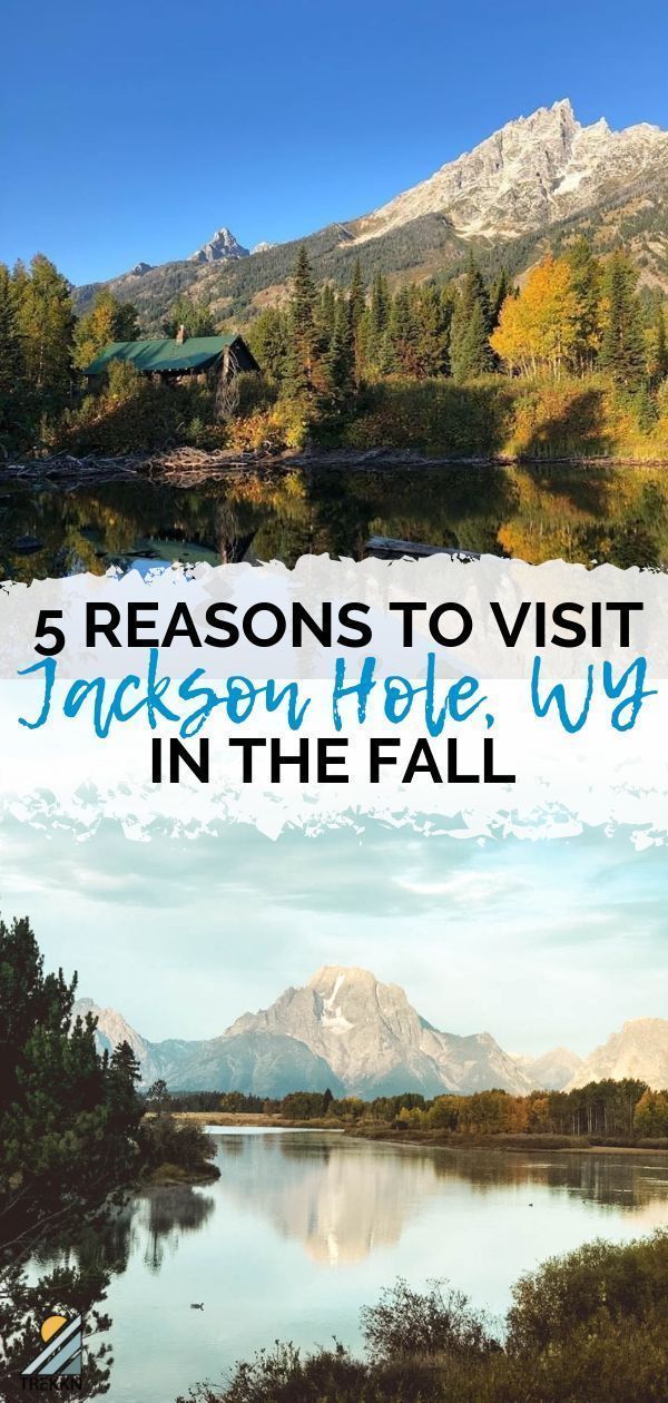 The Best Day Trips From Jackson Hole Wyoming Yellowstone Vacation Wyoming Vacation Day Trips