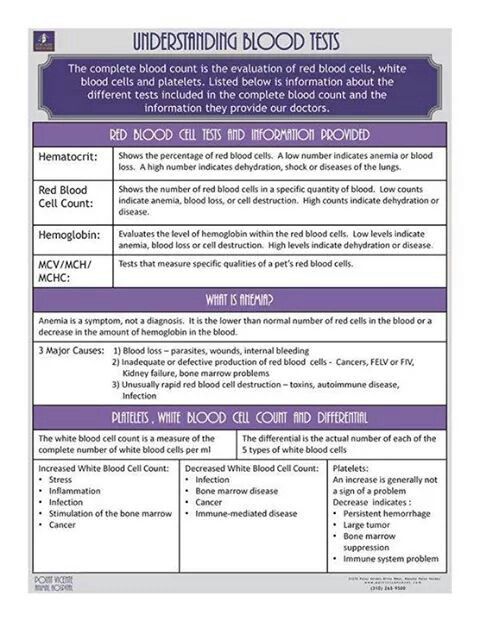 62 best Work Related images on Pinterest Veterinary medicine - vet tech resume 62 best Work Related images on Pinterest Veterinary medicine - vet tech resume