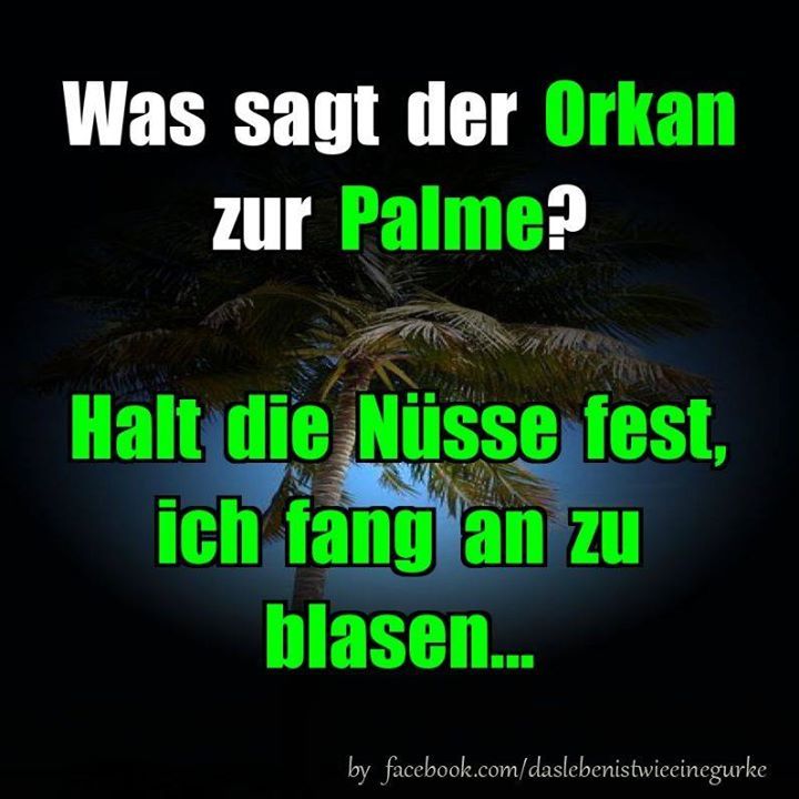 1pic4u Lustige Spruche Lustige Zitate Und Spruche Spruche