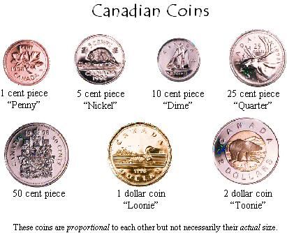 Canadian Coins Value Canada Is Usually Known For Having Wonderful Canadian Coins Value Canada Is Usually Known For Having Wonderful Old That Have A Rich Qualifications In History Coin Gatheri