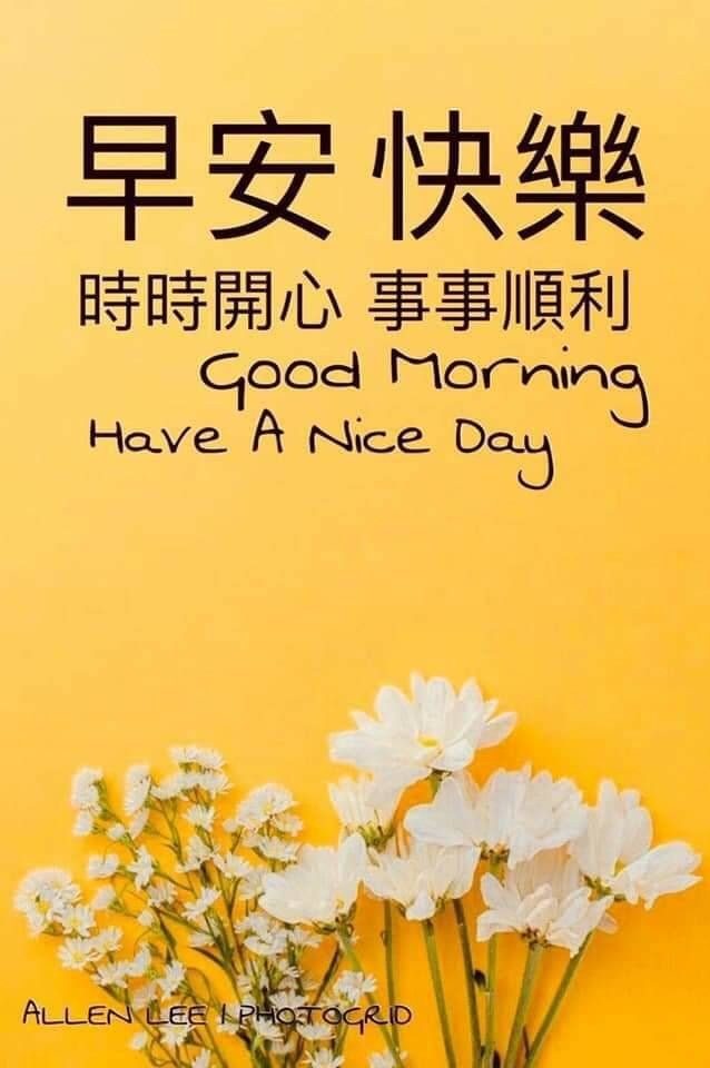 Pin By Phyllis On 早安問候語 Good Morning Quotes Good Morning Images Hd Good Morning Flowers Gif Pin By Phyllis On 早安問候語 Good Morning Quotes Good Morning Images Hd Good Morning Flowers Gif