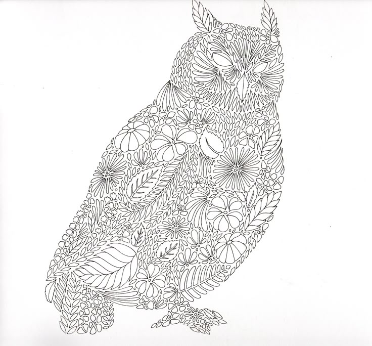 199 best Coloring Pages - Owls images on Pinterest Coloring books - copy baby owl coloring pages for adults 199 best Coloring Pages - Owls images on Pinterest Coloring books - copy baby owl coloring pages for adults