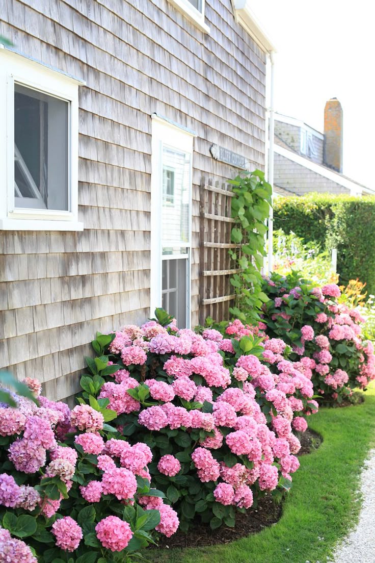 Design Flower Bed Designs best 25 flower beds ideas on pinterest front landscaping 36 hours in nantutcket