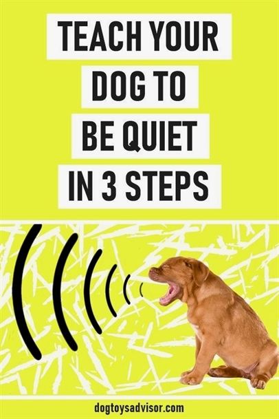Ultimate Canine Dog Training Julie Case Alpha Dog Training