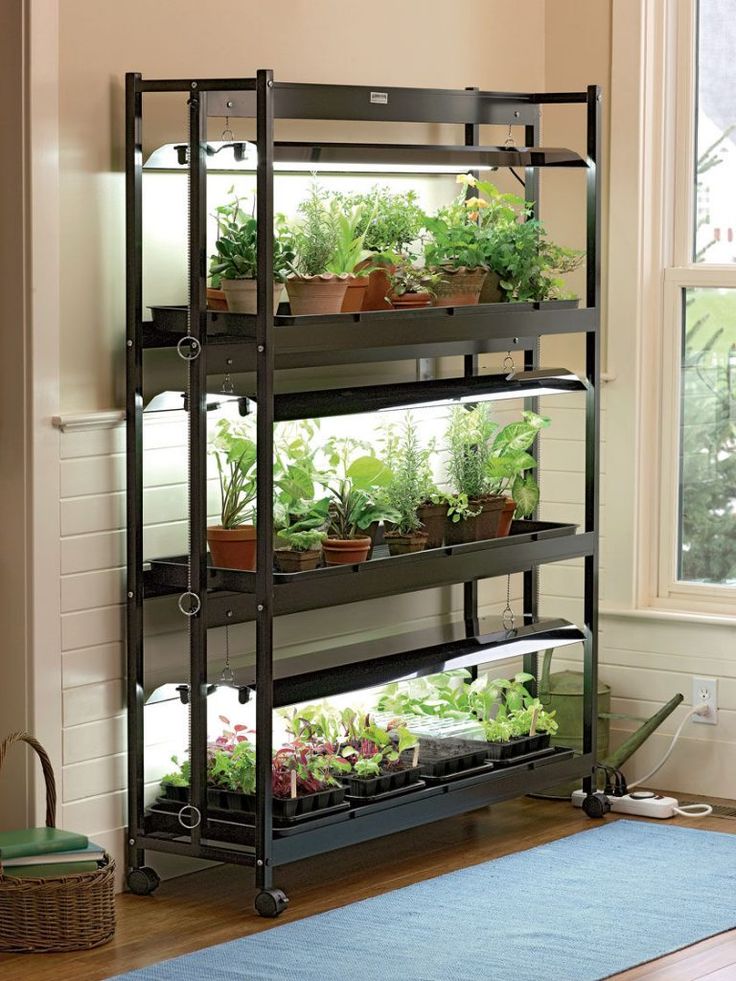 indoor grow lights for seedlings indoor grow lights for seedlings