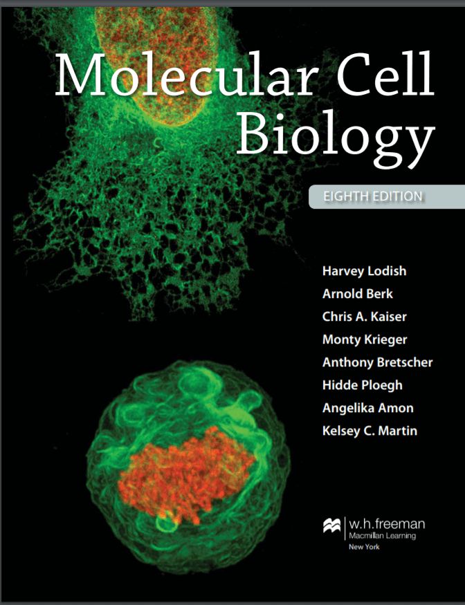 Molecular Cell Biology 8th Edition Ebook Molecular Cell Biology Lodish 8th Edition Pdf Free Molecular Cell