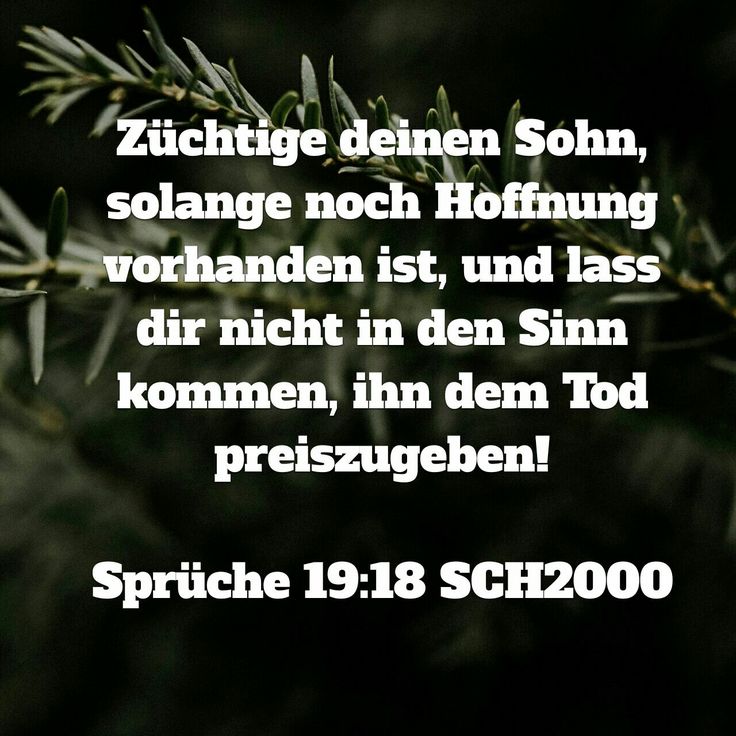 Pin auf Bibel
