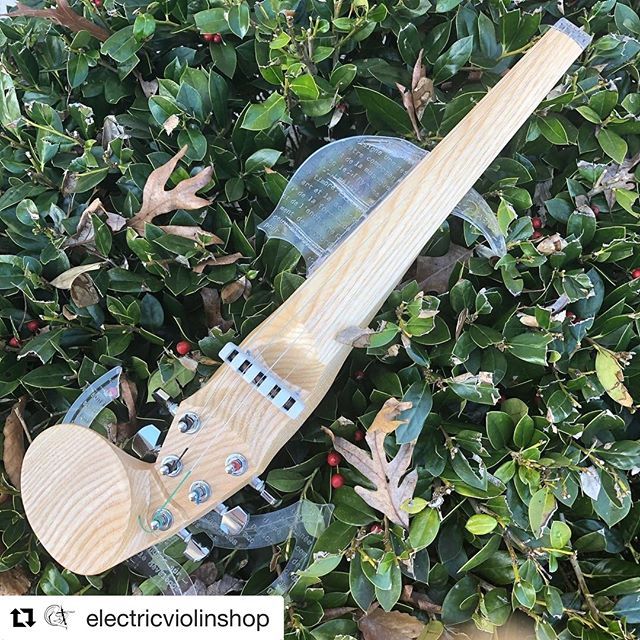 Electricviolinshop Has Our Equinox Electric Violin In Stock Mattbellviolinist Will Do A Livestream About It Tomorrow At 3pm Est Save The Date So It W Geige