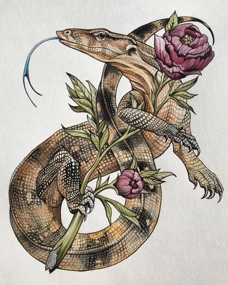 best 25 lizard tattoo ideas on pinterest gecko tattoo dragon best 25 lizard tattoo ideas on pinterest gecko tattoo dragon
