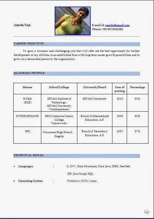 best professional cv template Sample Template Example ofExcellent - package handler resume best professional cv template Sample Template Example ofExcellent - package handler resume