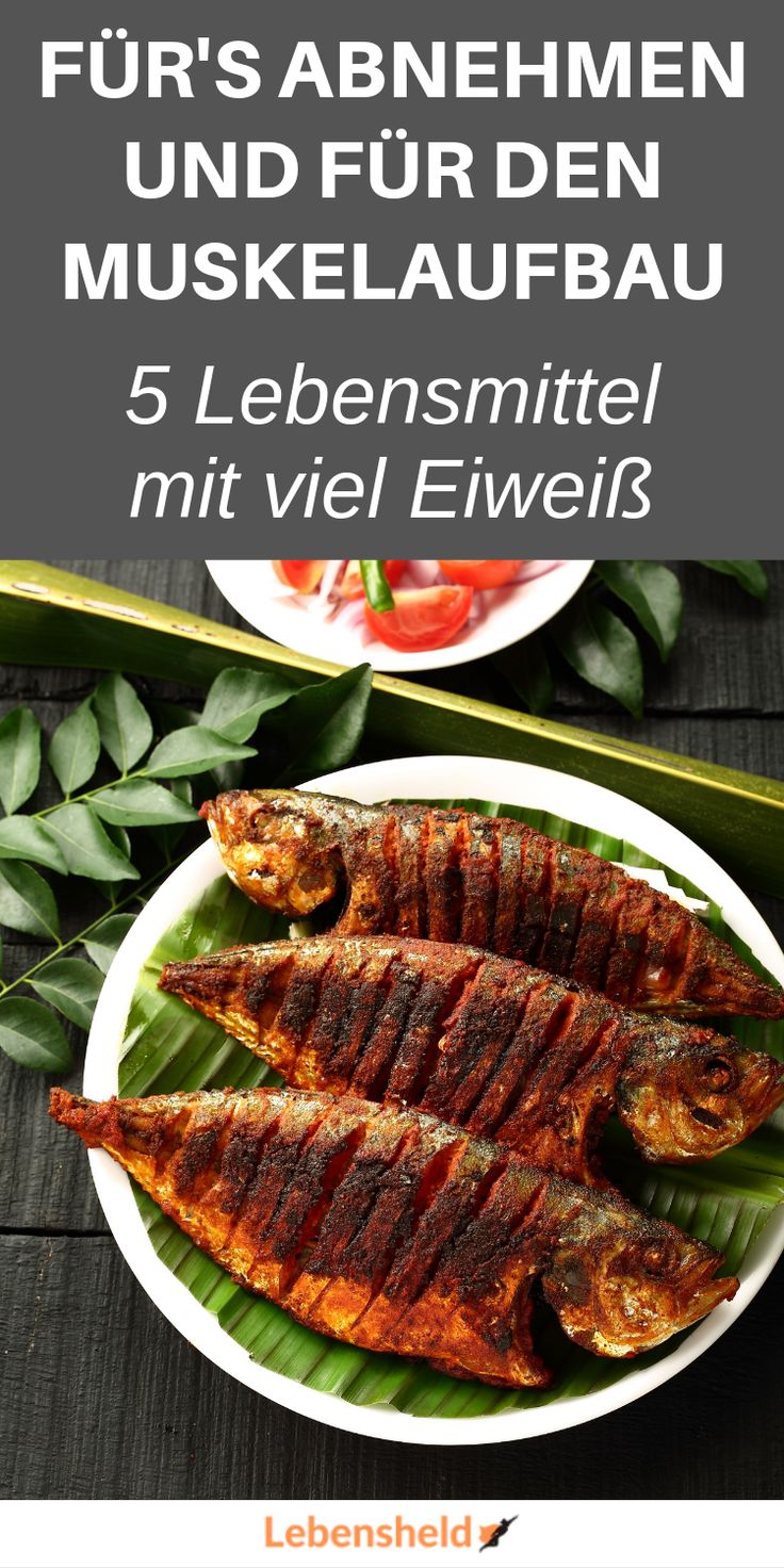 Welche Milch Hat Viel Eiweis 5 Lebensmittel mit viel Eiweiß - Lebensheld | Eiweißhaltige ernährung