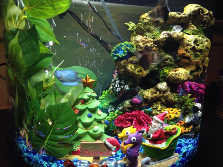 90 best fish tanks fish bowls fish sea life images 90 best fish tanks fish bowls fish sea life images