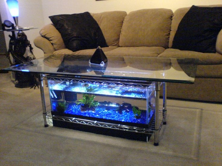 Kitchen Island Fish Tank pinterest'teki 25'den fazla en iyi aquarium cabinet fikri Kitchen Island Fish Tank pinterest'teki 25'den fazla en iyi aquarium cabinet fikri