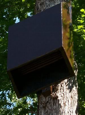 11 best bat box images on pinterest | bat box, bat house plans and 11 best bat box images on pinterest | bat box, bat house plans and