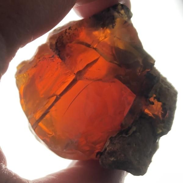 Pin on Oregon Fire & Chocolate Fire Opal