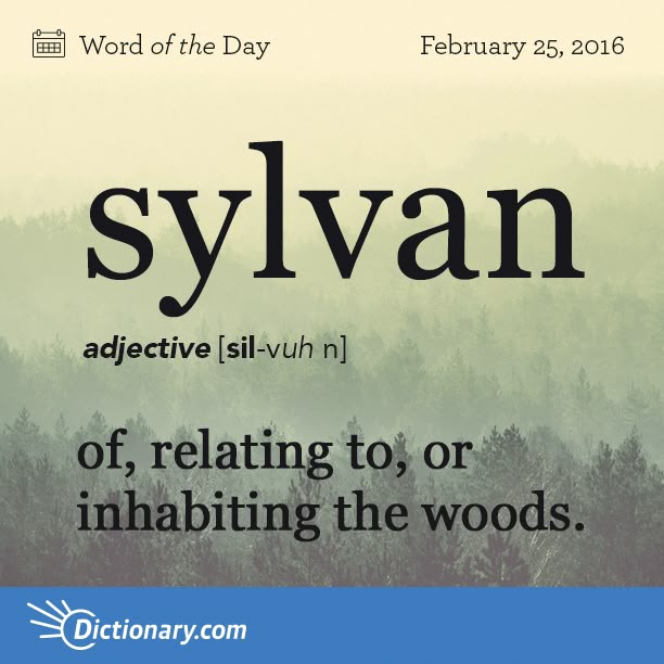1168 Best Meaning Images On Pinterest 1168 Best Meaning Images On Pinterest