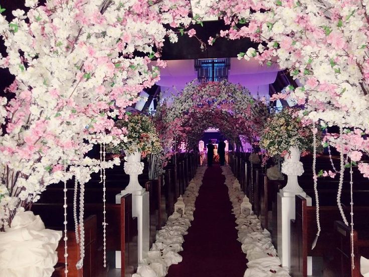 cherry blossoms theme