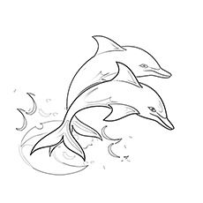 top 20 free printable dolphin coloring pages online