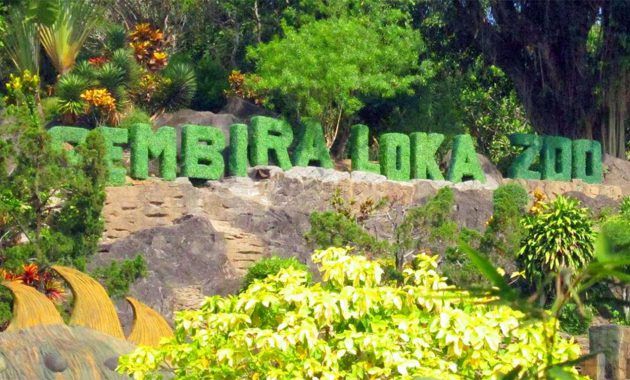 30 Pemandangan Kebun Binatang Sulitnya Parkir Di Kebun Binatang Surabaya Saat Libur Download Kebun Binatang Dan Kebun Di 2020 Pemandangan Kebun Binatang Binatang
