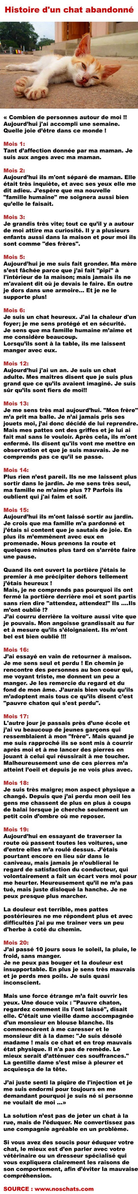 Histoire du Chat Abandonné