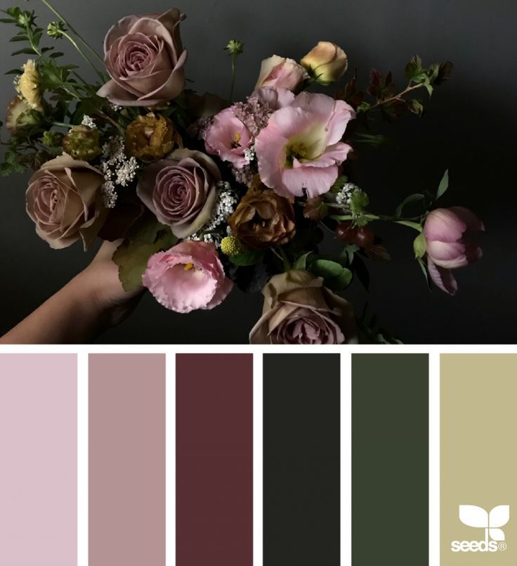 Variétés Rares Mixtes Bicolores Plantes Voyantes Pour L'intérieur Et L'extérieur Bouquet Décoratif Riche En Arôme 60 Pièces Graine De Rose Uniques GLTING Variétés Rares Mixtes Bicolores Plantes Voyantes Pour L'intérieur Et L'extérieur Bouquet Décoratif Riche En Arôme 60 Pièces Graine De Rose Uniques GLTING