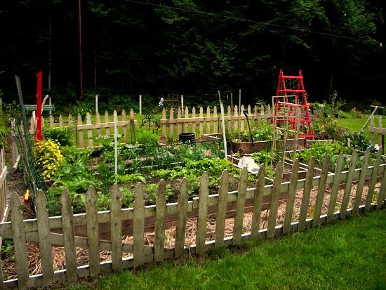 26 Best Garden Gates Fences Images On Pinterest Vegetable Garden White Picket Fence