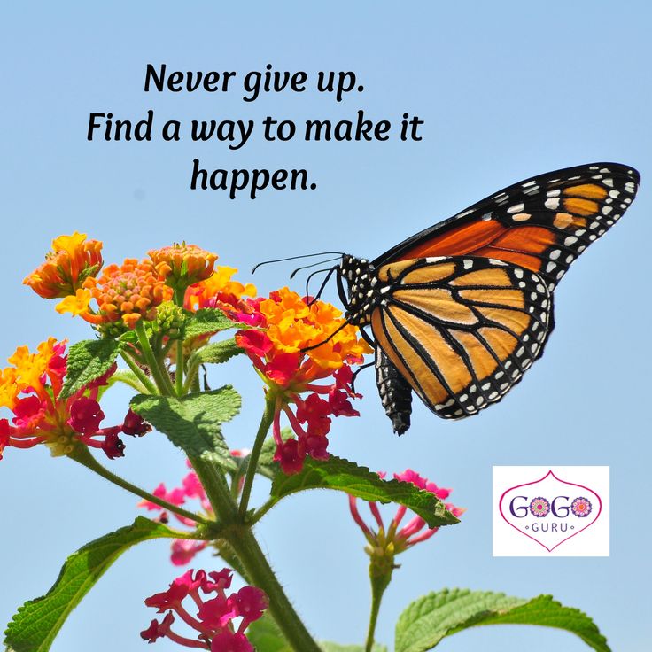 54 Best Inspirational Quotes Images On Pinterest Inspirational Quotes About Inspiration