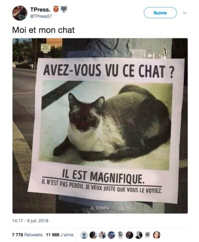 Français gay video Français gay video
