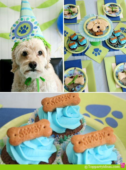 dog party supplies dog party supplies