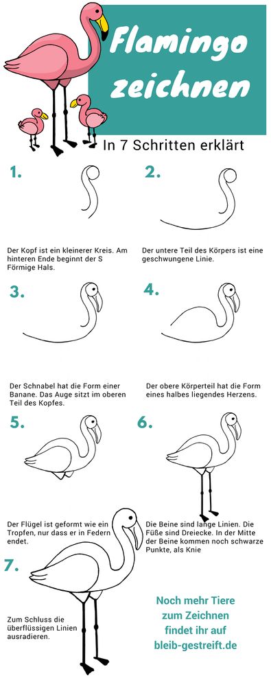 Flamingo zeichnen lernen Flamingo zeichnen lernen