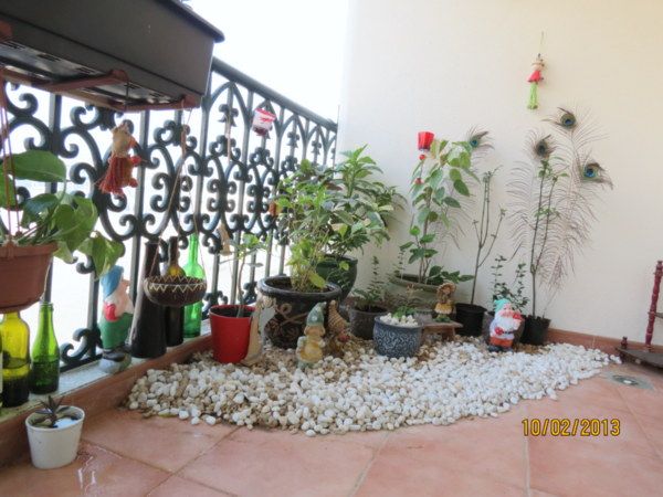 Colours Dekor: another balcony garden | Gardening ... Colours Dekor another balcony garden Gardening