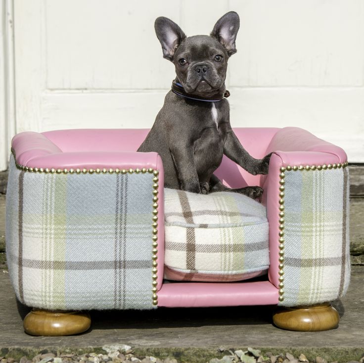 Lords and Labradors Blue French Bulldog Designer Tweed and Leather dog