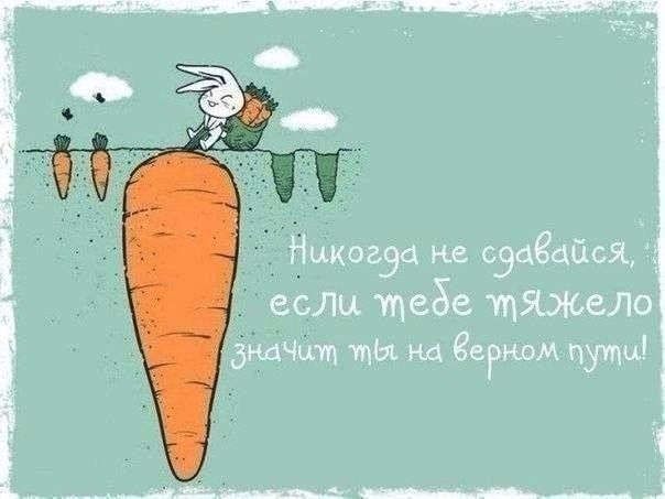 потому, открытка подбодрить коллегу тебя руку